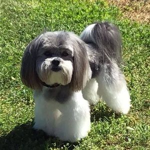 Meet your Posher, Vicki